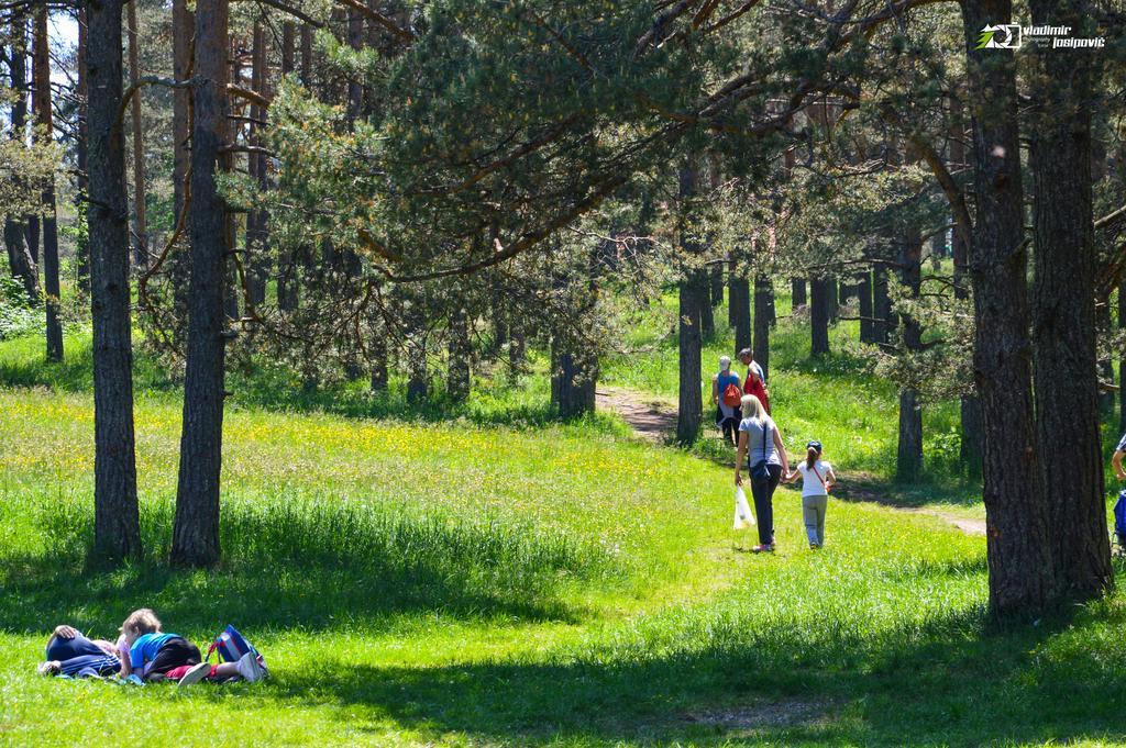 Apartments Josipovic Zlatibor Eksteriør billede